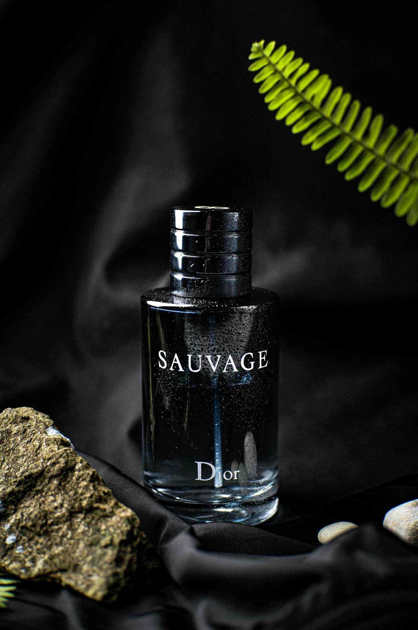 Dior Sauvage Eau de Parfum – Midnight Wilderness Edition(M) - ASCHIEF